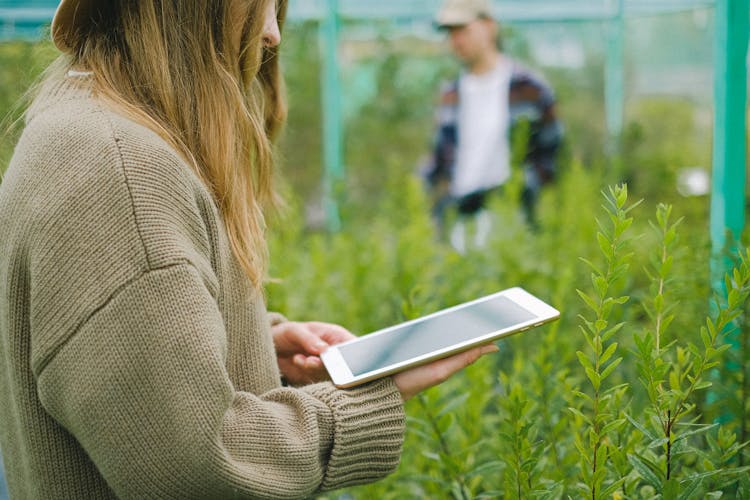 Woman Using Tablet For Photographing Plants In Greenhouse