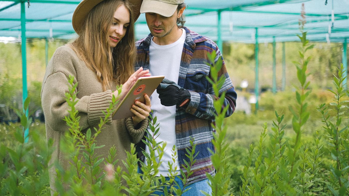 Sharing Your Garden Online: What Makes It Worth Following