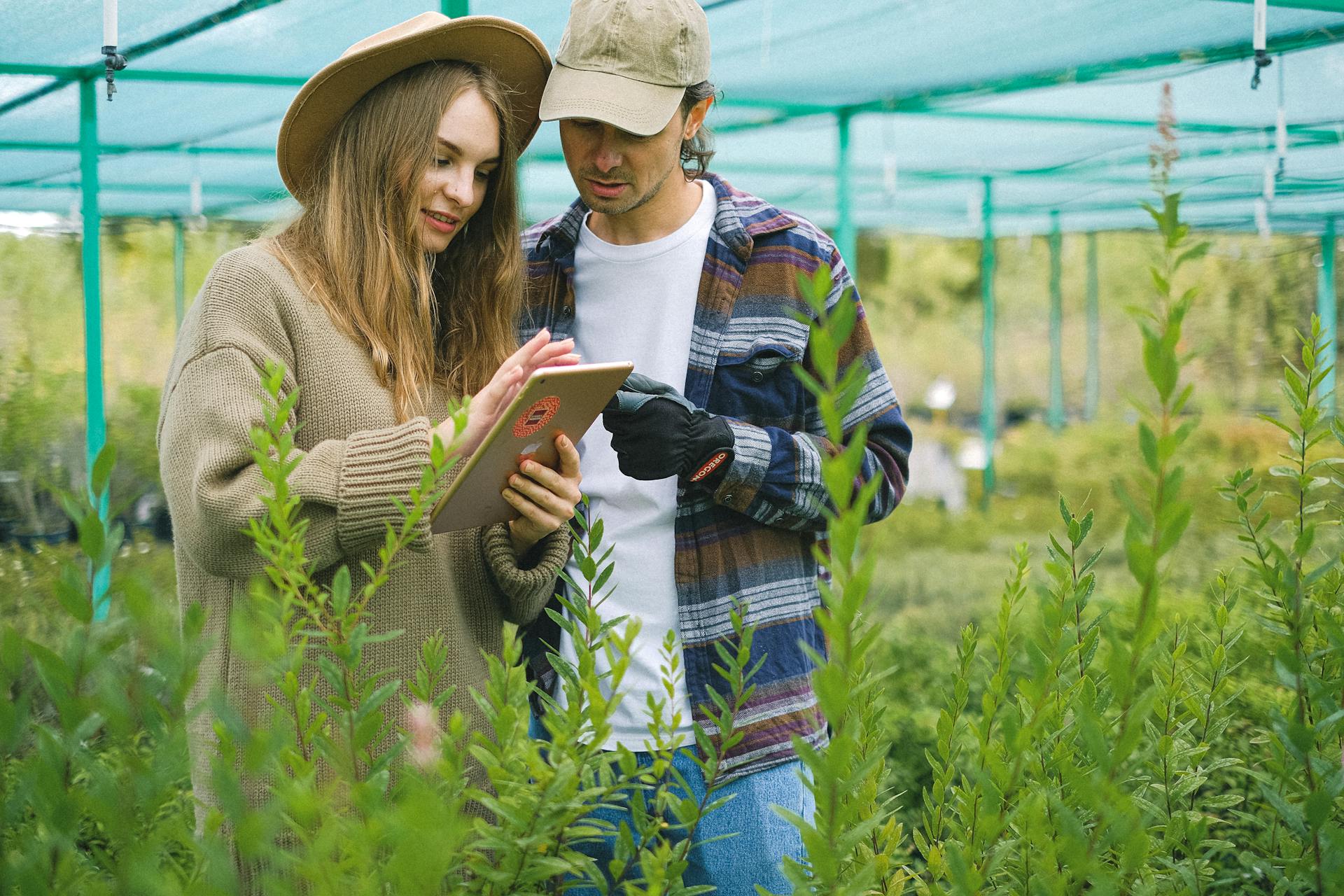 Focused couple searching information in farm