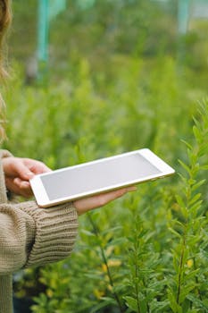 一名妇女在郁郁葱葱的温室绿植间使用平板电脑，象征着现代农业技术