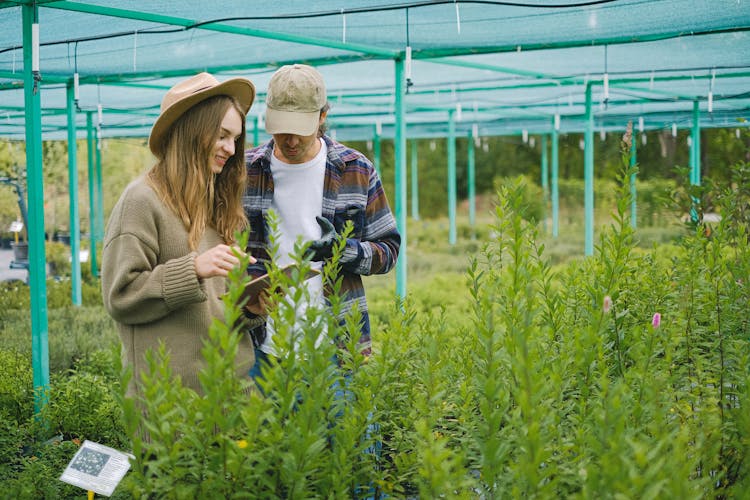 Couple Of Gardeners Browsing Tablet For Searching Information