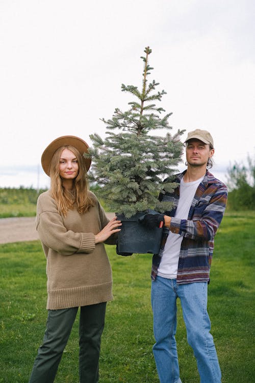 Couple carrying fir tree in pot