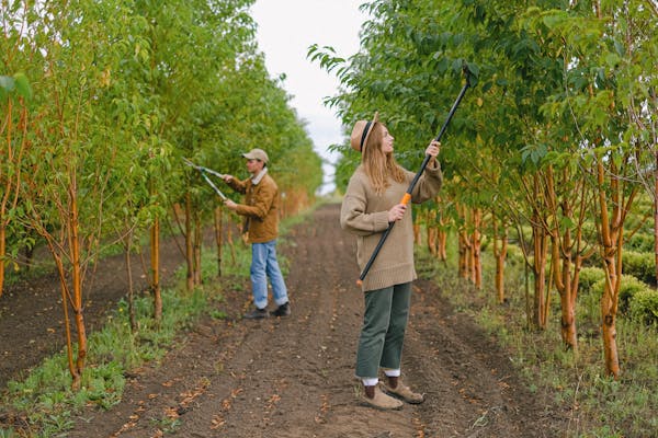 Agro-Organic-Agri sciences