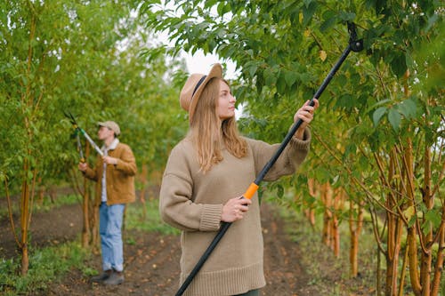 Fotobanka s bezplatnými fotkami na tému agronómia, botanický, botanika