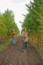 Colleagues cutting branches with garden equipment in orchard