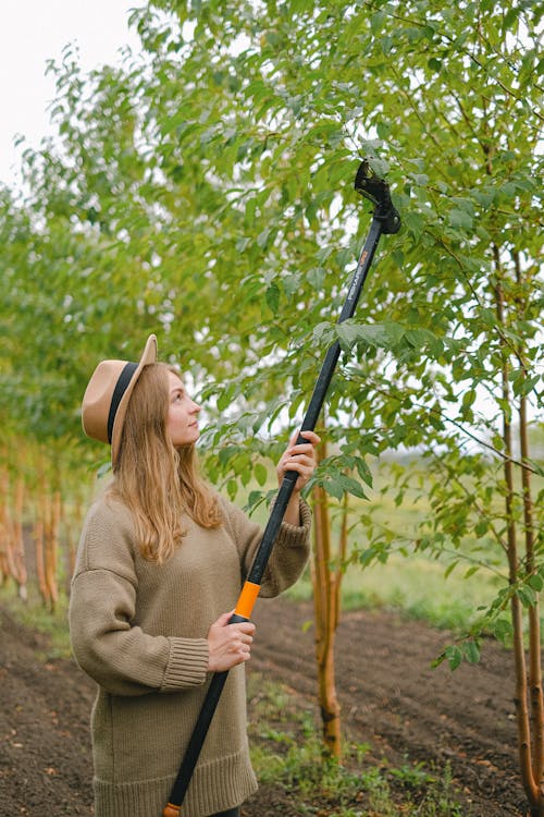 Young woman with modern gardening tool cutting twigs of tree