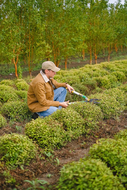 Fotos de stock gratuitas de afuera, agacharse, agricultor