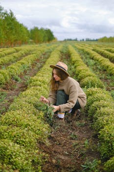 一位女农民在绿意盎然的草地上收割香草，展现了可持续农业的实践