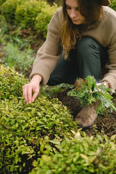 Crop woman collecting seedling from bush with the Quote "I'm tired of hearing about money, money, money, money, money. I just want to play the game, drink Pepsi, and wear Reebok." written on it and have average color value #68662F