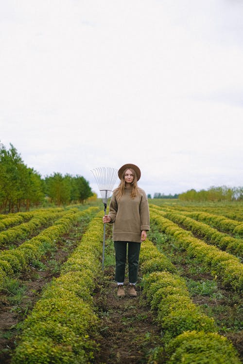 Immagine gratuita di a base di erbe, agricoltori, agricoltura