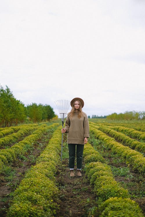 Full body of female farmer with rake standing between rows of green plants in agricultural field