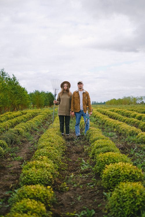 Full body of gardeners with rake and secateurs standing on plantation of greens in farm