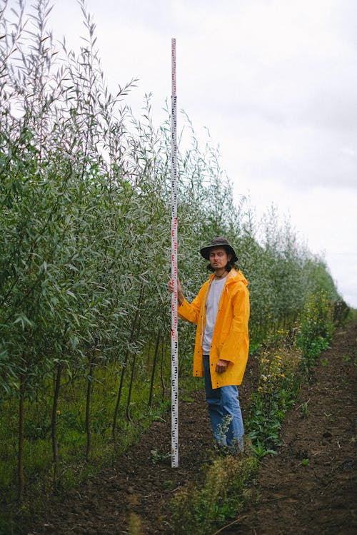 Full body of male farmer with ruler standing in field with trees and examining height