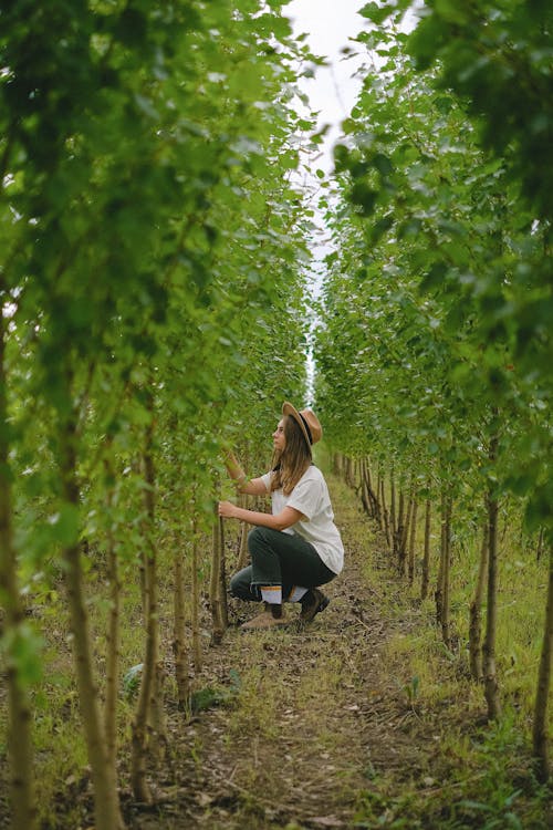 Woman sitting on hunkers between rows of trees in farm