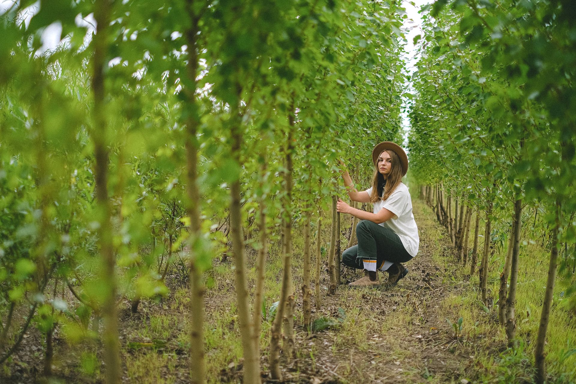 Perspective view full body of female farmer in hat squatting near green bushes with foliage between rows of plants while working on plantation