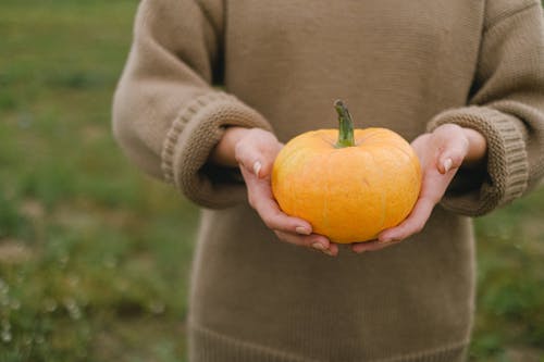 Crop woman with pumpkin in hands