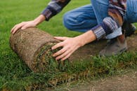 Side view of unrecognizable male farmer laying grass turf roll on ground while working on agricultural plantation on blurred background