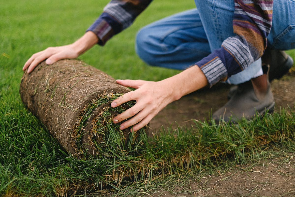 Fresh sod ready for installation