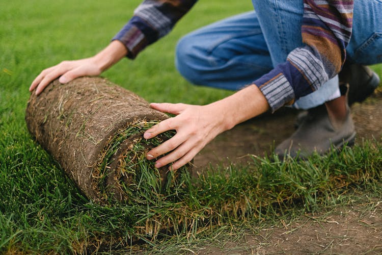 Crop Worker Laying Grass Roll