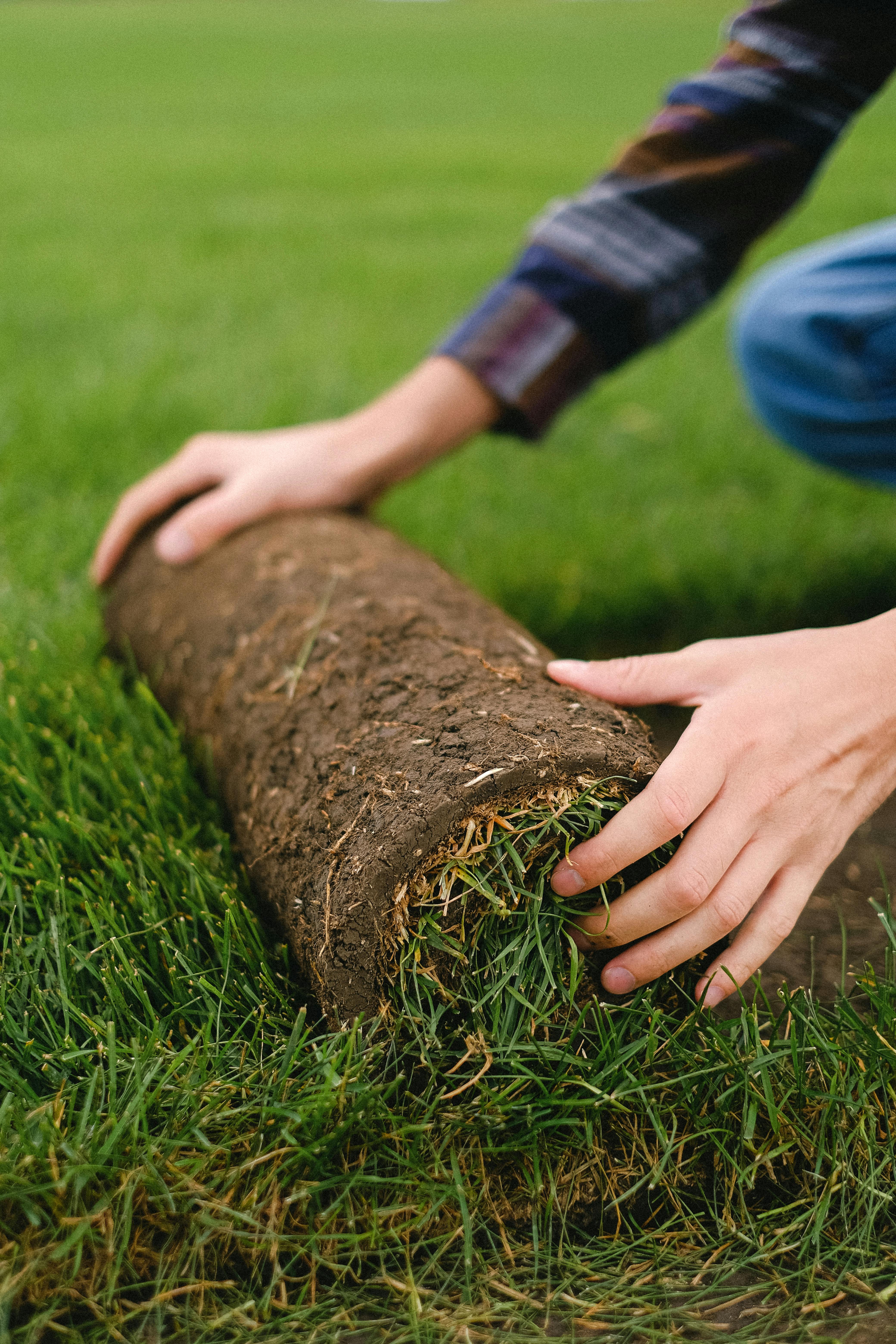 crop man with turf roll