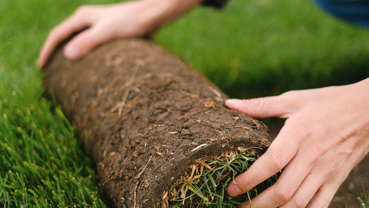 Natural Grass & Sod Installation by Santiago's Contractors