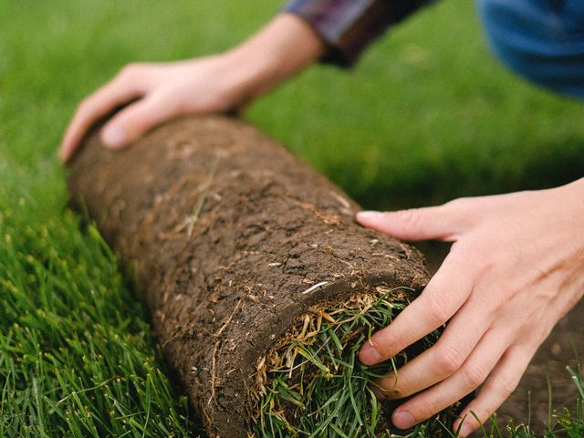 Natural Grass & Sod Installation