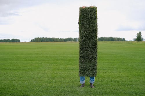Free Unrecognizable farmer with grass lawn Stock Photo