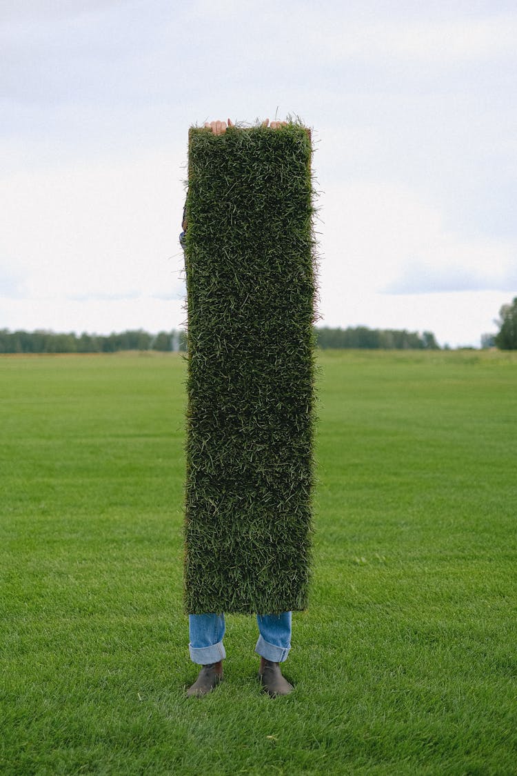 Unrecognizable Gardener With Lawn Sod