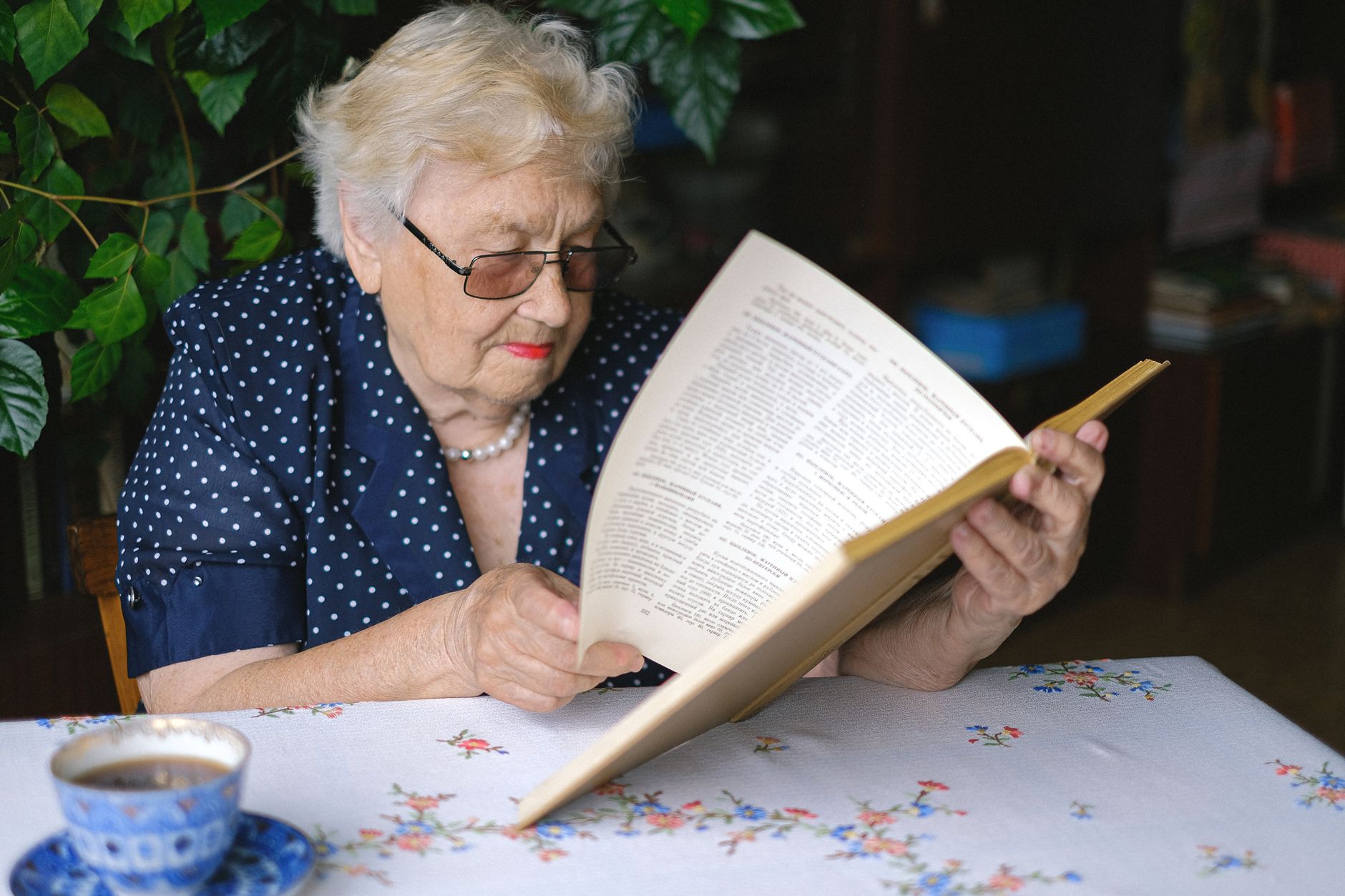 Senior woman reading a guide at home in Madison — illustrating this Medicare guide