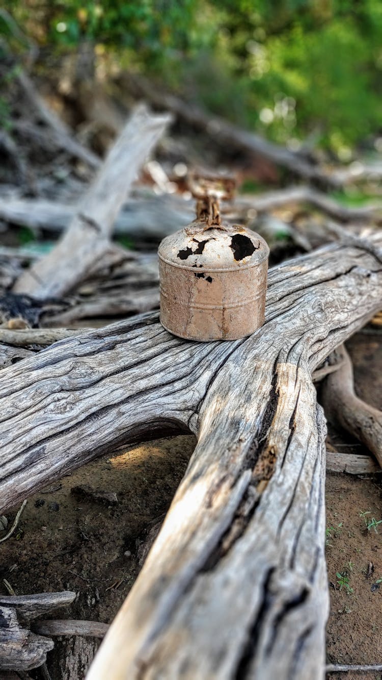 Damaged Container On Tree Trunk