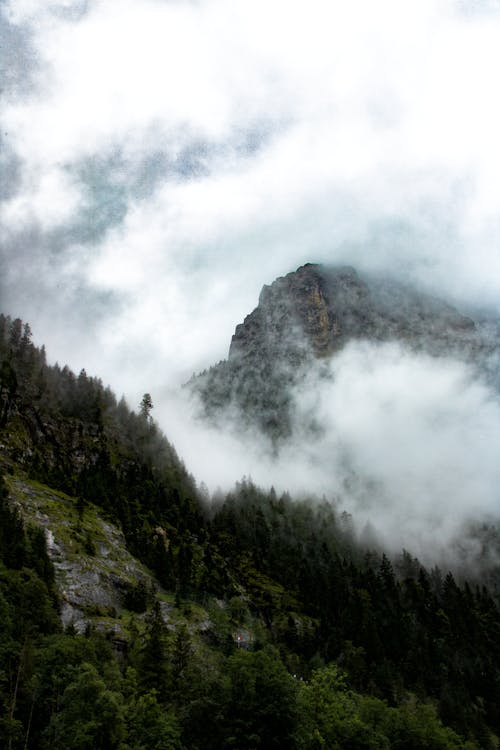 Foggy Mountain Top