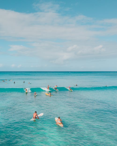 Surfers in the Sea 