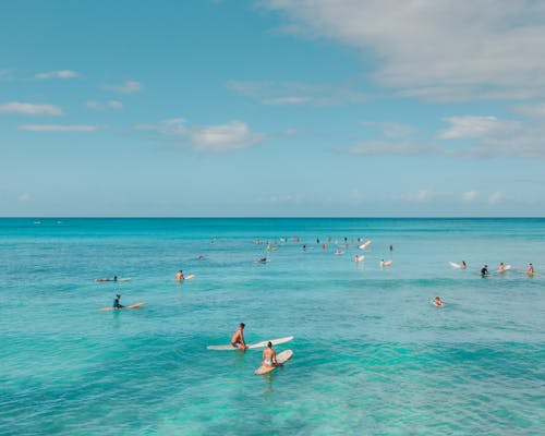 Surfers in the Sea