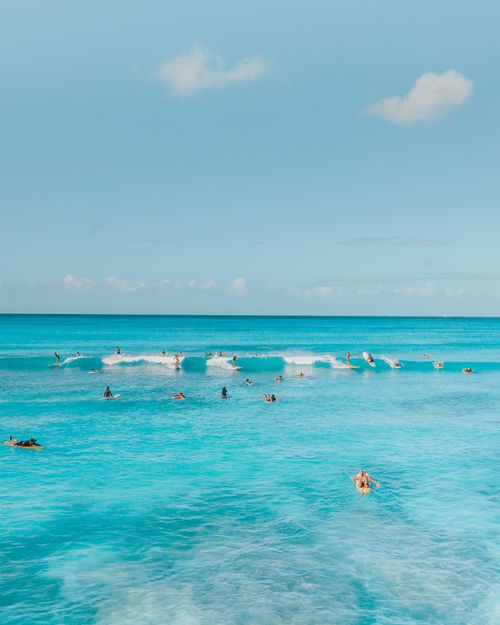 Free A group of surfers catching waves on a bright turquoise ocean under a clear sky. Stock Photo