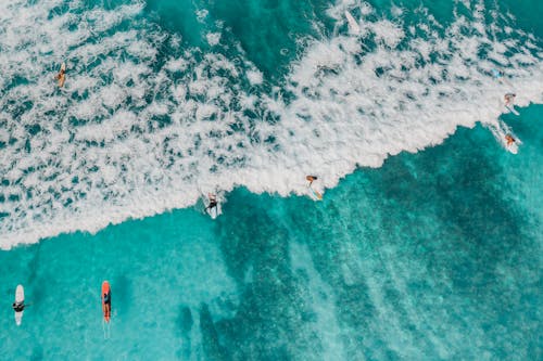 Free Aerial View of People Swimming on Beach Stock Photo