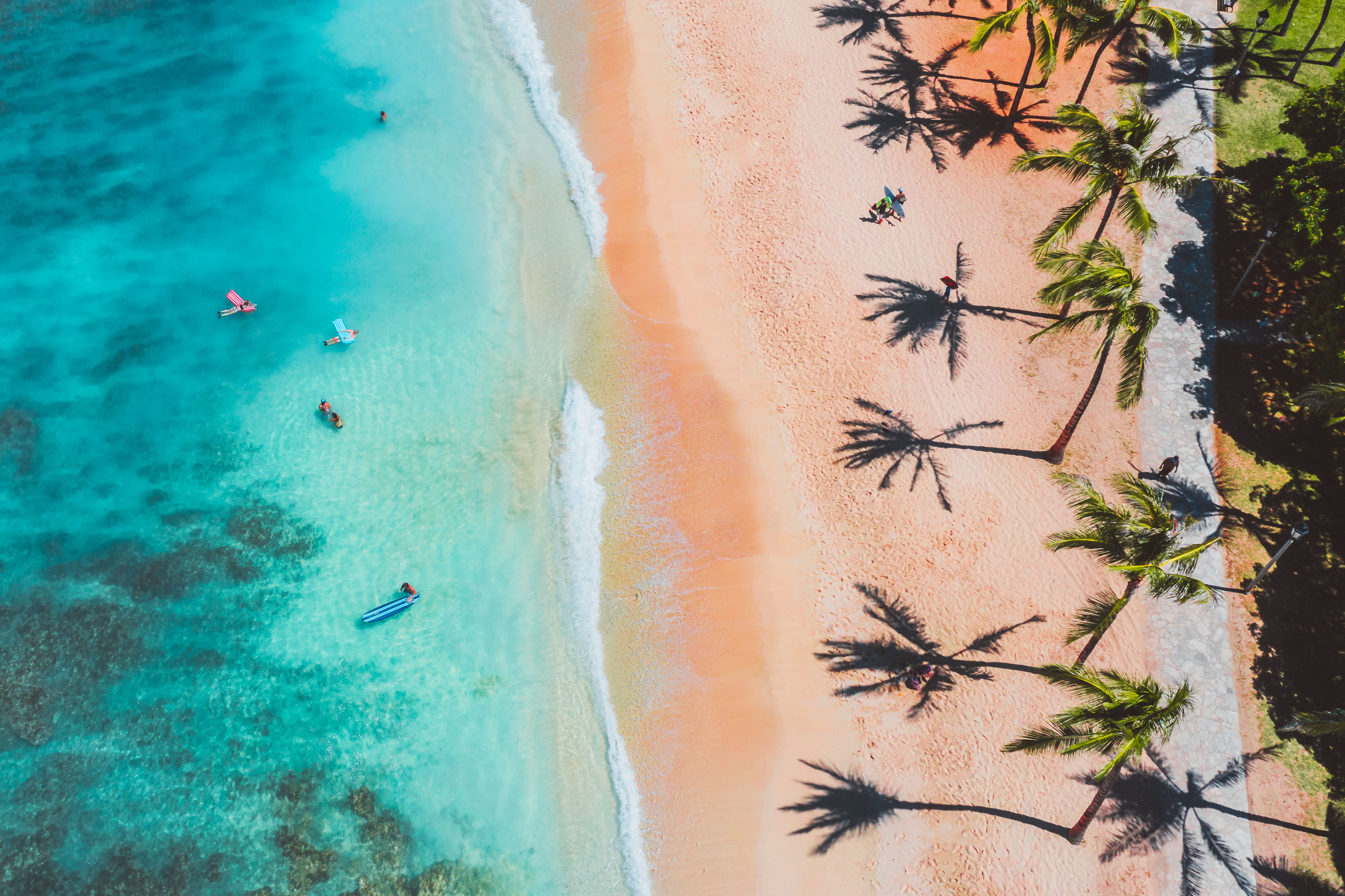 Aerial of a palm-fringed white sand beach with clear water