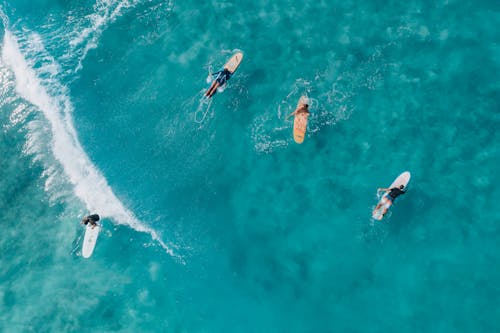 People Surfing on Sea