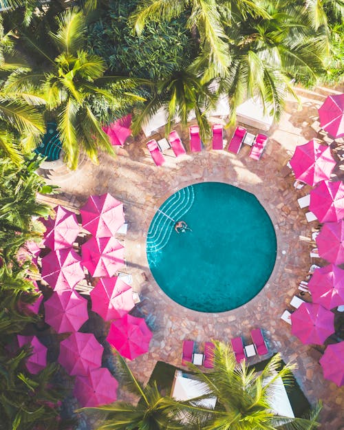 Person in Swimming Pool on Tropical Resort