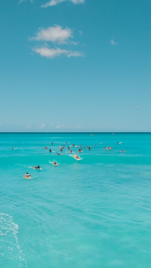 People on Beach Using Surfboard