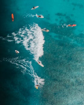 冲浪者在清澈的蓝色海水中自上而下，享受着阳光明媚的一天