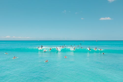 People on Beach Using Surfboard