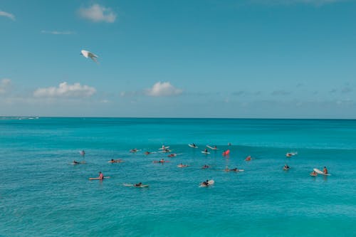 A People Swimming on a Blue Sea 