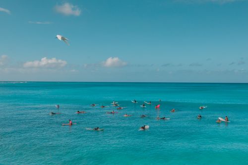 Free Aerial view of surfers enjoying a sunny day in the vibrant blue ocean under a clear sky. Stock Photo