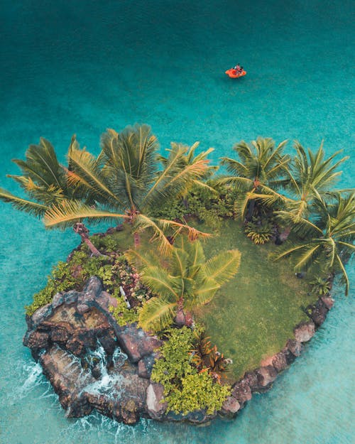 섬, 야자나무, 여름의 무료 스톡 사진