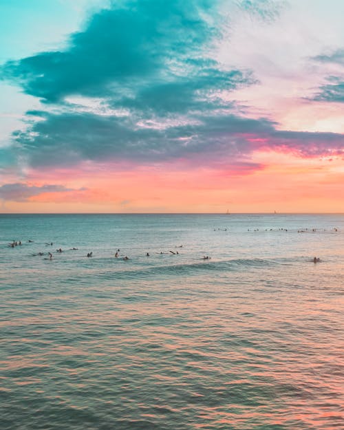 People Surfing on a Sea during Sunset 