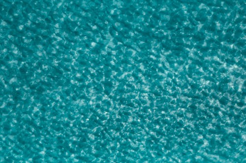 Foto profissional grátis de água azul-turquesa, cerceta, conhecimento