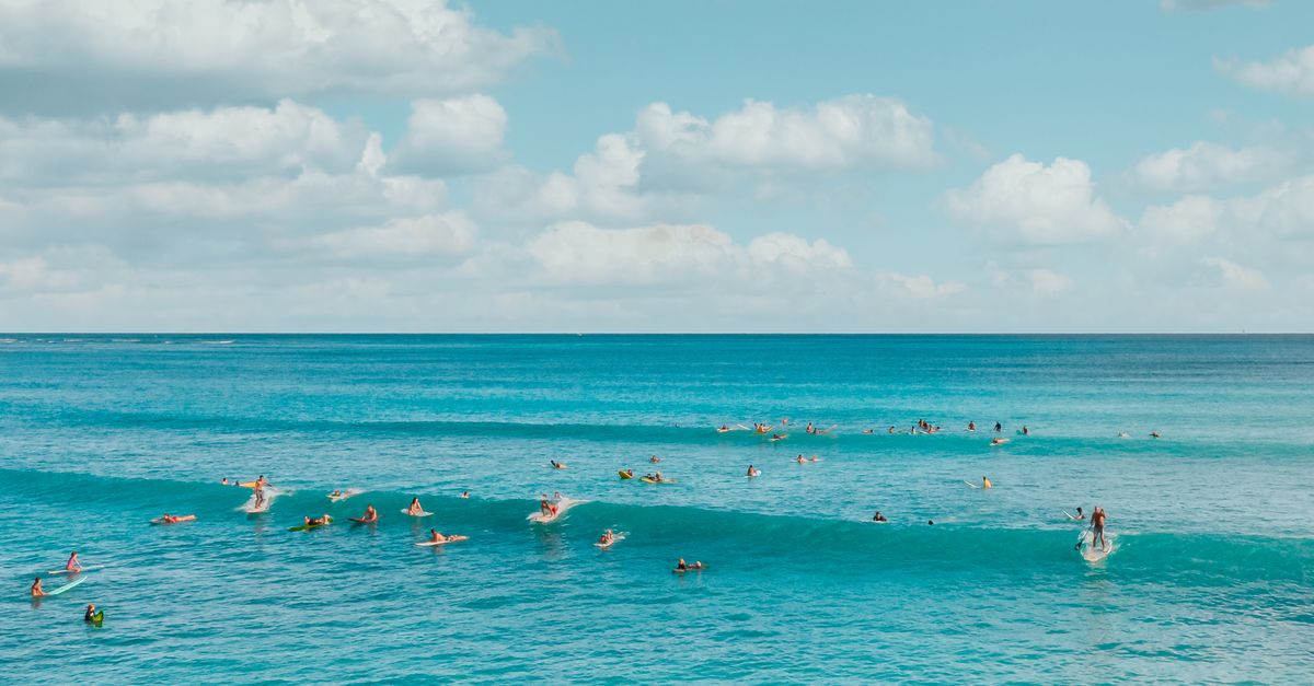 Découverte des meilleures sensations nautiques à vivre