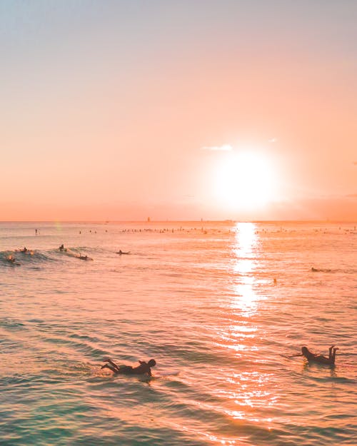 Free People Swimming on Beach during Sunset Stock Photo