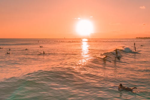 Free People on Surfboarding and Swimming on Beach  Stock Photo