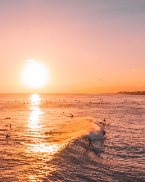 Seascape with Surfers on a Wave at Sunset